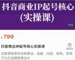 抖音商业IP起号核心实操课，带你玩转算法，流量，内容，架构，变现-一起网赚吧