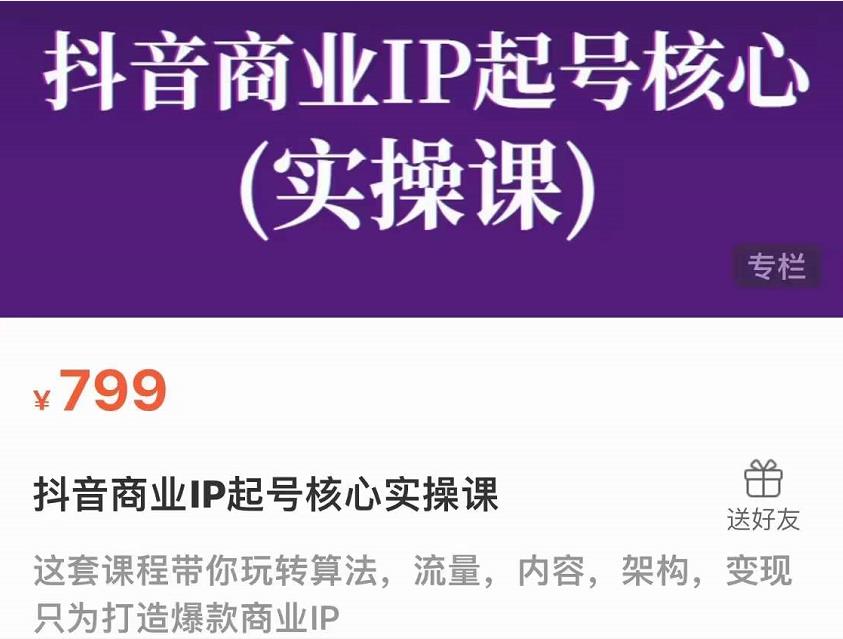 抖音商业IP起号核心实操课，带你玩转算法，流量，内容，架构，变现-一起网赚吧