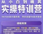 Seven漆·2022Tiktok从小白到精英实操特训营，带你掌握Tiktok账号运营-一起网赚吧