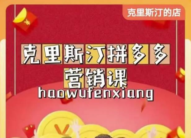 克里斯汀拼多多运营课，适合小白初涉平台，低成本入门-一起网赚吧