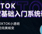Tiktok实操进阶课程,体验从tiktok小透明到大佬的完美蜕变-一起网赚吧