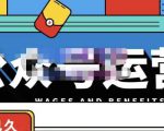 零零已久·从0-1运营公众号，零基础小白也能上手，系统性了解公众号运营-一起网赚吧
