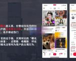 麦子互娱短视频带货·0基础做好物分享账号，无需出镜无需货源无需拍摄-一起网赚吧