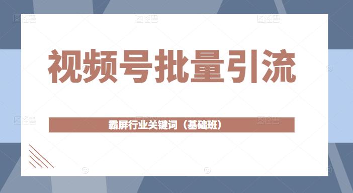 视频号批量引流，霸屏行业关键词（基础班）全面系统讲解视频号玩法-一起网赚吧