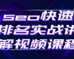 seo快速排名实战讲解视频课程，揭秘seo快排原理-一起网赚吧