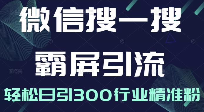 微信搜一搜霸屏引流课，打造被动精准引流系统，轻松日引300行业精准粉-一起网赚吧