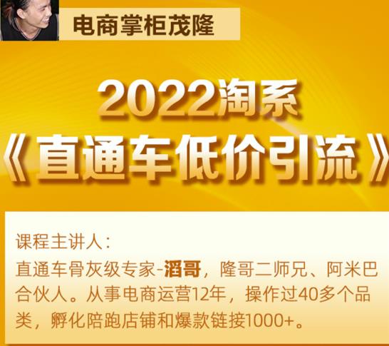 茂隆2022直通车低价引流玩法，教大家如何低投入高回报的直通车玩法-一起网赚吧