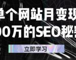单个网站月变现100万的SEO秘密，百分百做出赚钱站点-一起网赚吧