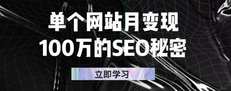 单个网站月变现100万的SEO秘密，百分百做出赚钱站点-一起网赚吧
