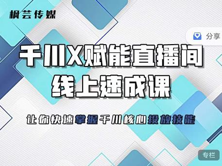 枫芸传媒-线上千川提升课，提升千川认知，提升千川投放效果-一起网赚吧