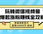 玩转微信视频号爆款涨粉赚钱全攻略，快速涨粉百万变现万元秘诀-一起网赚吧