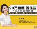 叶小鱼21天短视频文案拆书营，学完轻松搞定各类书单短视频文案-一起网赚吧