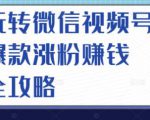 玩转微信视频号爆款涨粉赚钱全攻略，让你快速抓住流量风口，收获红利财富-一起网赚吧