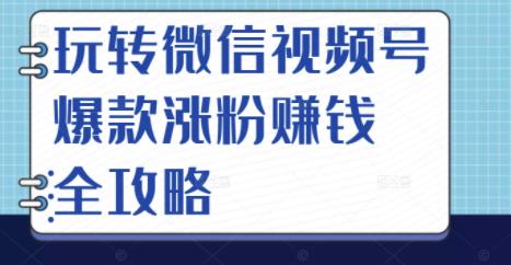 玩转微信视频号爆款涨粉赚钱全攻略，让你快速抓住流量风口，收获红利财富-一起网赚吧