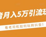 老古董·抖音月入5万引流玩法，看看老司机如何玩转抖音(附赠：抖音另类引流思路)-一起网赚吧