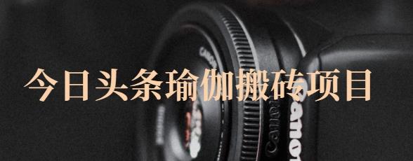 猎人社区·今日头条瑜伽搬砖项目，单号一天几十收入，可以批量操作！-一起网赚吧
