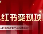 渣圈学苑·小红书虚拟资源变现项目，一起捞钱掘金价值1099元-一起网赚吧