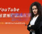 外国人眼中的YouTube该怎么玩？Elisa·YouTube运营推广实战技巧-一起网赚吧
