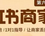 贾真-小红书商家营第6期商家版,21天带货陪跑课,让商家丢掉付流量-一起网赚吧