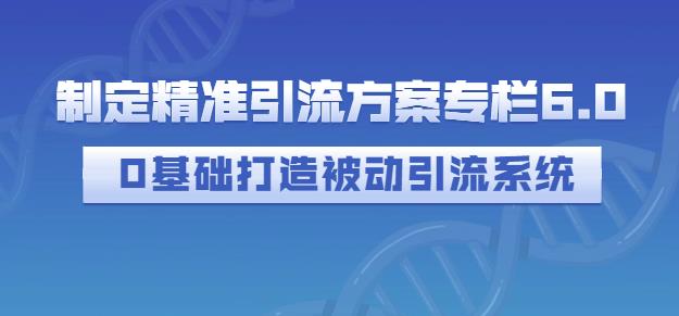 制定精准引流方案专栏6.0，0基础打造被动引流系统-一起网赚吧