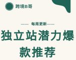 【跨境B哥】独立站潜力爆款选品推荐,测款出单率高达百分之80-一起网赚吧
