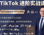 大山老师TikTok进阶实战课：账号详解，流量运营，实战变现，助力你成功出海-一起网赚吧