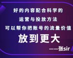 张sir账号流量增长课,告别海王流量,让你的流量更精准-一起网赚吧