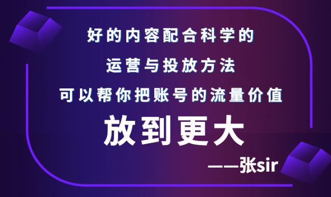 张sir账号流量增长课，告别海王流量，让你的流量更精准-一起网赚吧