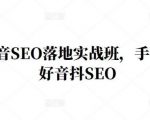 王通·抖音SEO落地实战班,手手带你做好音抖SEO-一起网赚吧