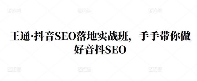 王通·抖音SEO落地实战班，手‬手带你做好音抖‬‬SEO-一起网赚吧