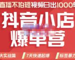 推易电商·2022年抖音小店爆单营,不直播、不拍短视频、日出1000单,暴力玩法-一起网赚吧