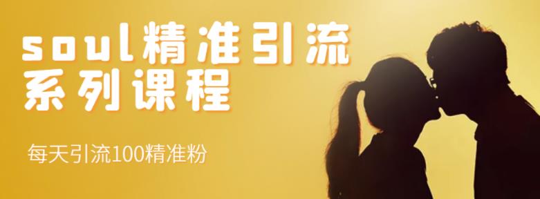 soul精准引流系列课程，每天引流100精准粉-一起网赚吧