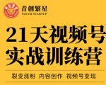张萌21天视频号实战训练营，裂变涨粉、内容创作、视频号变现 价值298元-一起网赚吧