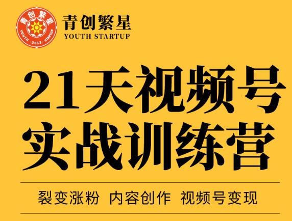 张萌21天视频号实战训练营，裂变涨粉、内容创作、视频号变现 价值298元-一起网赚吧