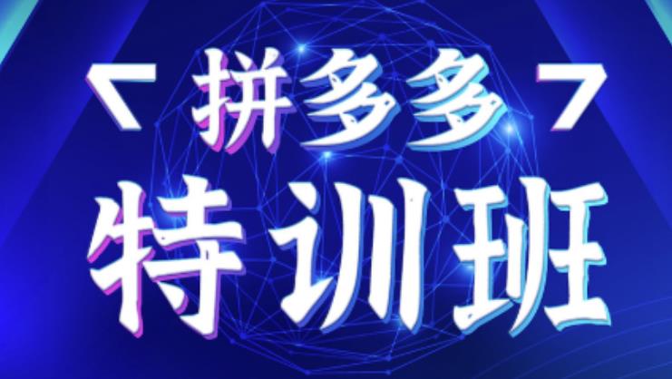 星雪教育·拼多多基础班+进阶班+突破班，用系统的学习模式快速改变现状价值3580元-一起网赚吧