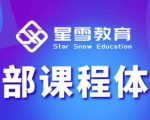 星雪教育淘系高级班,更全的运营提升方案,零基础由浅入深,店铺最新玩法-一起网赚吧