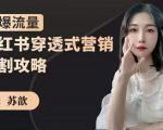 苏歆：小红书穿透式营销收割攻略，引爆流量，助你玩转小红书-一起网赚吧
