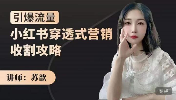 苏歆：小红书穿透式营销收割攻略，引爆流量，助你玩转小红书-一起网赚吧