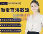 2022淘宝蓝海截流攻略,淘宝蓝海截流选品上货实操讲解-一起网赚吧