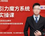 阿呆-引力魔方系统实操课,全体系实战教学,助你快速掌握推荐流量底层逻辑-一起网赚吧