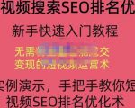 宋老师·短视频搜索SEO优化,教你10分钟创作一个短视频,三天排名上第一-一起网赚吧