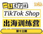 TikTokShop出海训练营（第十三期），打开全球流量新思维，出海抢占全球新流量，一店卖全球-一起网赚吧