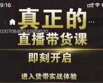 李扭扭超硬核的直播带货课，零粉丝快速引爆抖音直播带货-一起网赚吧