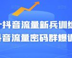 Peter抖音流量新兵训练营-破解抖音流量密码群爆训练营(新兵)-一起网赚吧