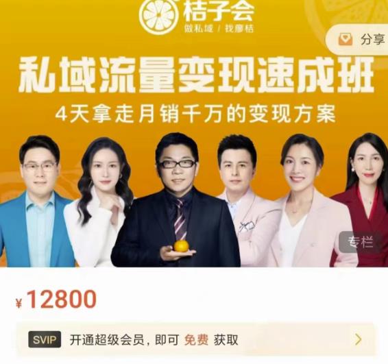 桔子会·私域流量变现速成班，4天拿走月销千万的变现方案 价值12800元-一起网赚吧