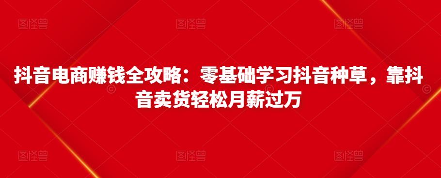 抖音电商赚钱全攻略：零基础学习抖音种草，靠抖音卖货轻松月薪过万-一起网赚吧