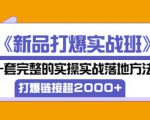 凌童《新品打爆实战班》,一套完整的实操实战落地方法，打爆链接超2000+（28节课)-一起网赚吧