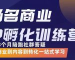 杨名商业IP孵化训练营，从商业到内容到转化一站式学 价值5980元-一起网赚吧