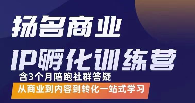 杨名商业IP孵化训练营，从商业到内容到转化一站式学 价值5980元-一起网赚吧