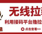 最新接码无限拉新项目，利用接码平台赚拉新平台差价，轻松日赚500+-一起网赚吧